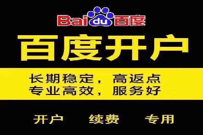 某某SEM团队成功案例：广告投放策略揭秘